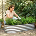 Green Fingers Raised Garden Bed 120x60x30cm Galvanised Metal