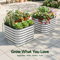 Green Fingers Galvanized Raised Garden Bed 2 Pack Metal Planter 60x60x45cm