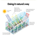 Green Fingers Greenhouse 3x2.5x2.26M Aluminium Double Doors