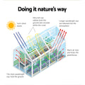 Green Fingers Greenhouse 3.7x2.5x2.26m Double Doors Aluminium