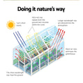 Green Fingers Greenhouse 4.2x2.5x1.95M Aluminium Polycarbonate
