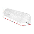 Green Fingers Mini Greenhouse 300x45x30cm Clear PVC Tunnel