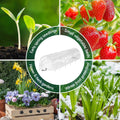 Green Fingers Mini Greenhouse 300x45x30cm Clear PVC Tunnel