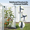 Green Fingers Mini Greenhouse 1.0x0.8x1.5M PE Cover Roll-Up