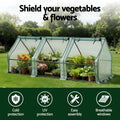 Green Fingers Greenhouse 240x90x90cm Steel Frame PE Cover