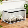 Green Fingers Mini Greenhouse 50x25x25cm PVC Mushrooms