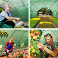 Green Fingers Greenhouse 6x3x2M Walk In Tunnel Plant Garden Shed