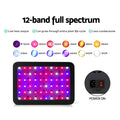 Green Fingers 600W LED Grow Light Full Spectrum Indoor Plant