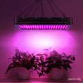 Green Fingers 2000W LED Grow Light Full Spectrum Indoor Plant Growth