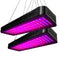 Green Fingers 2X 2000W LED Grow Lights Full Spectrum Plant Indoor