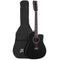 Alpha 42 Acoustic Guitar 12 String w/ EQ Electric Black