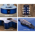 Alpha 38in Acoustic Guitar Cutaway Steel String Wooden Blue