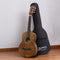 Alpha 31 Inch Steel String Acoustic Guitar Portable