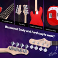 Alpha Electric Guitar 47 Inch Bass Kit 40W Amplifier Stand