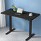 Artiss Electric Standing Desk 120cm Black Motorised
