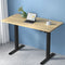 Artiss Electric Standing Desk 120cm White Oak Motorised
