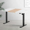 Artiss Motorised Standing Desk 120cm Sit Stand Electric