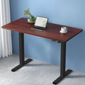 Artiss Electric Standing Desk 120cm Walnut Motorised