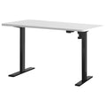 Artiss Electric Standing Desk 120cm White Motorised