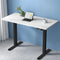 Artiss Electric Standing Desk Motorised 140cm White