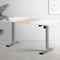 Artiss Electric Standing Desk 140CM Sit Stand