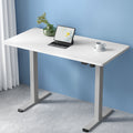 Artiss Electric Standing Desk 120cm White Motorised