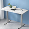 Artiss Electric Standing Desk 120cm White Motorised