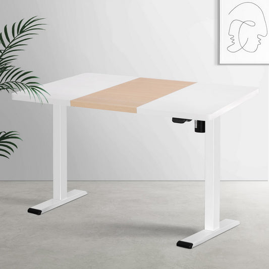 Artiss 120CM Motorised Sit Stand Standing Desk Electric