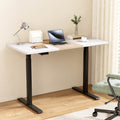 Artiss Standing Desk Electric Dual Motor 120cm Motorised