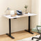 Artiss Standing Desk Electric Dual Motor 120cm Motorised