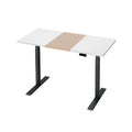 Artiss Standing Desk Electric Dual Motor 120cm Motorised