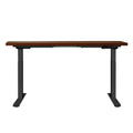 Artiss Standing Desk Motorised Dual Motor 140CM Walnut