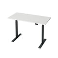Artiss Electric Standing Desk Dual Motor 120cm White