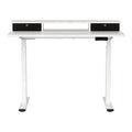 Artiss Electric Standing Desk 120cm Dual Motor Office Table
