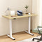 Artiss Standing Desk Motorised 140cm Dual Motor White Oak
