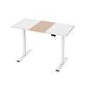 Artiss 120CM Electric Standing Desk Dual Motor Height Adjustable
