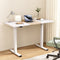 Artiss Electric Standing Desk Dual Motor 140cm