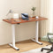 Artiss 120cm Motorised Standing Desk Dual Motor Rustic Brown