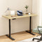 Artiss Electric Standing Desk Dual Motor 120cm White Oak