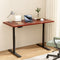 Artiss Electric Standing Desk Dual Motor 140cm Walnut