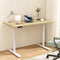 Artiss 140CM Electric Standing Desk Dual Motor White Oak