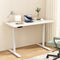 Artiss Electric Standing Desk Dual Motor 120cm White