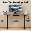 Artiss Electric Standing Desk Motorised Dual Motor 140cm Walnut