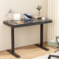 Artiss 120cm Electric Standing Desk Motorised Black Drawer