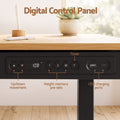 Artiss Motorised Standing Desk with Storage Drawer 120cm Wood Black