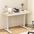 Artiss Electric Standing Desk 120cm Dual Motor Oak