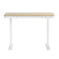 Artiss Electric Standing Desk 120cm Dual Motor Oak