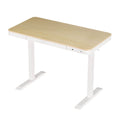 Artiss Electric Standing Desk 120cm Dual Motor Oak