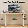 Artiss Electric Sit Stand Desk 140cm Oak Touch Control