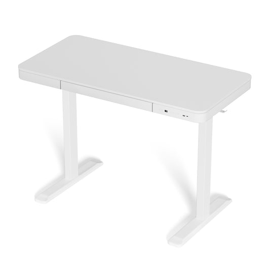 Artiss 120cm Electric Standing Desk White Motorised Drawer